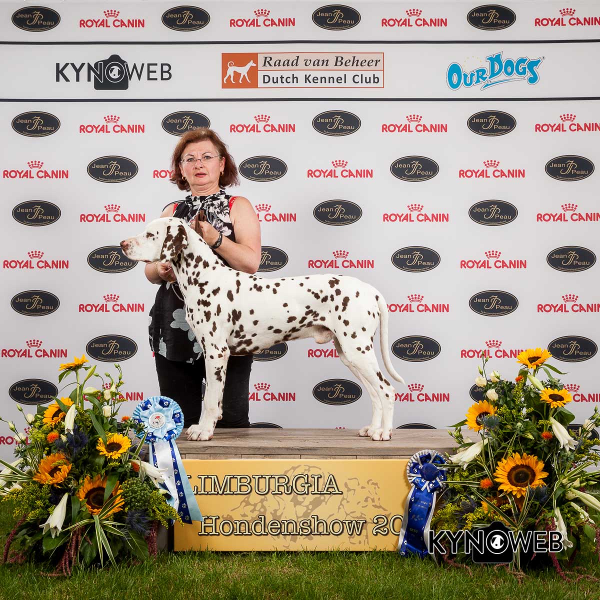 Falcatus Fire in the House- Dogshow Echt 2013 -20130706